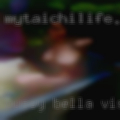Pussy Bella Vista