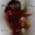 Pussy in Alex LA